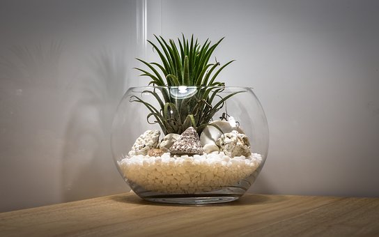 terrariums team building in Singapore