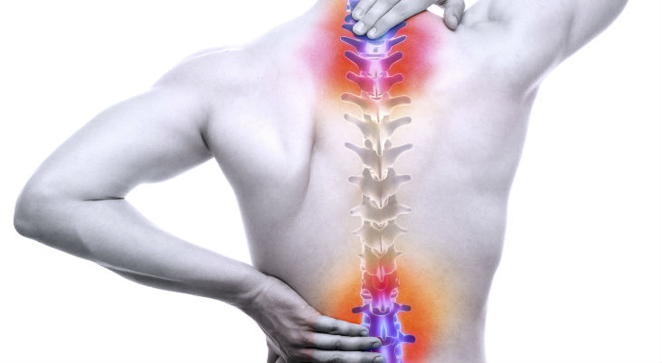 What Is Spinal Cord Injury And Who Are Spine Specialist?